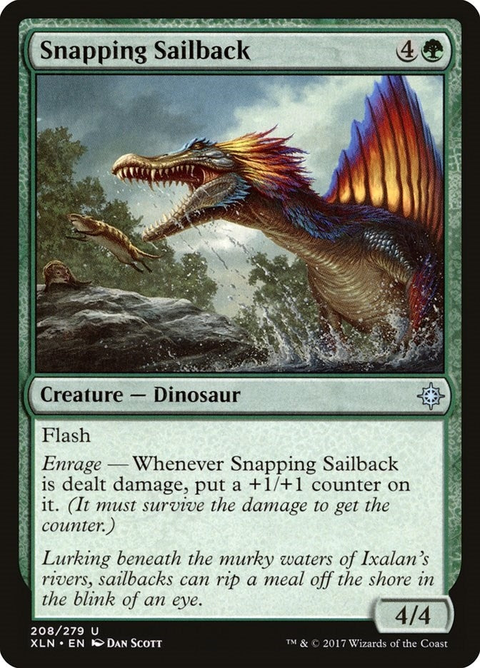 Snapping Sailback (208) (XLN)