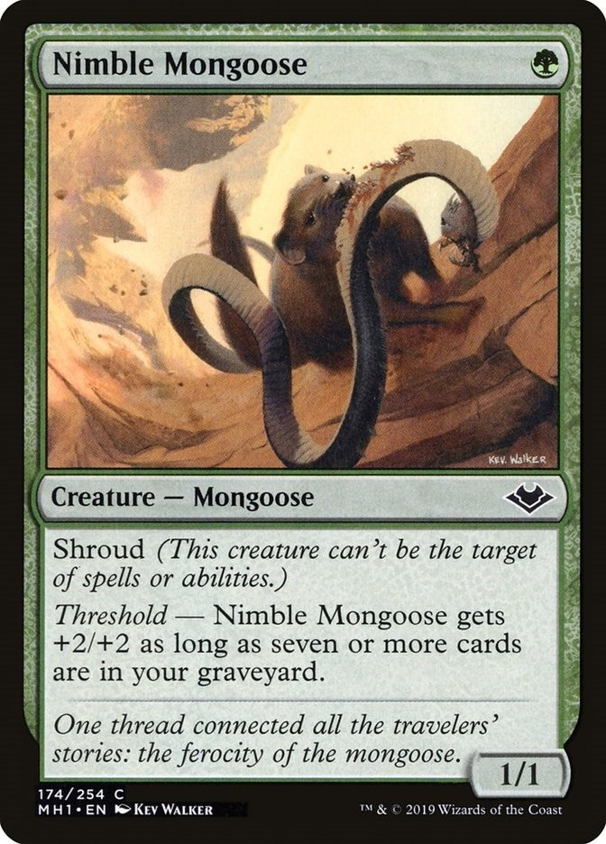Nimble Mongoose (174) (MH1)