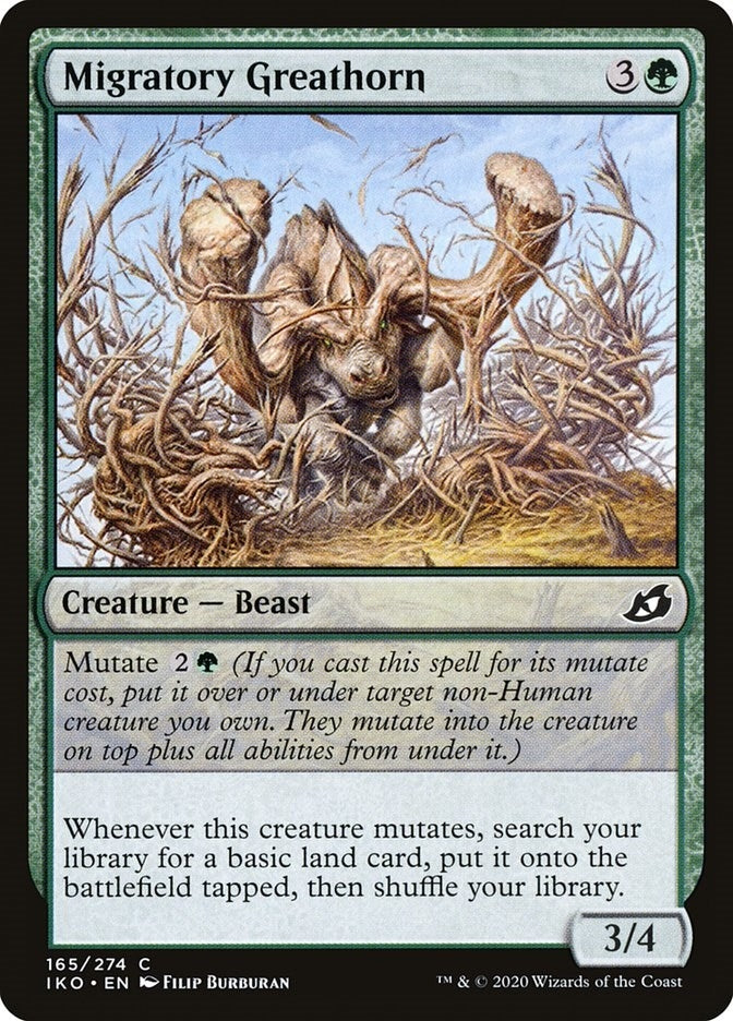 Migratory Greathorn (165) (IKO)