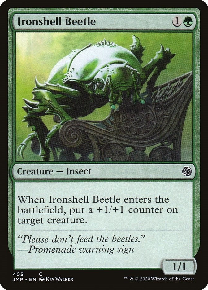 Ironshell Beetle (405) (JMP)