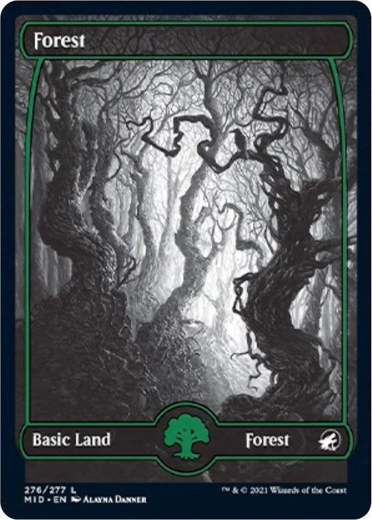Image for Forest (276) (276) (MID) - Magic: The Gathering