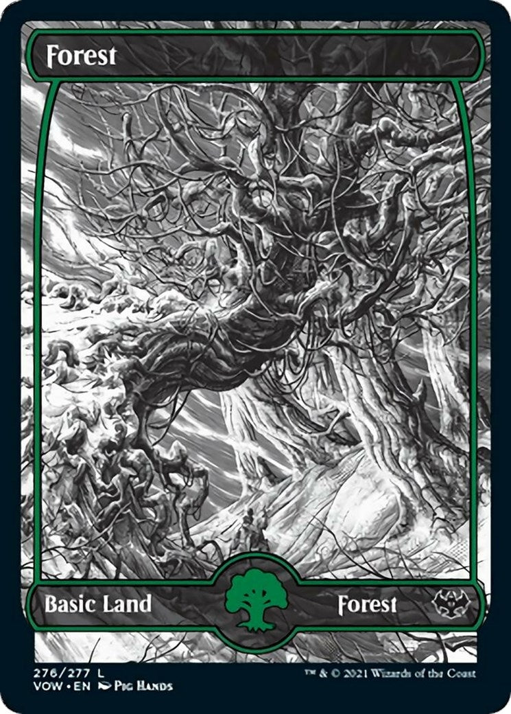 Image for Forest (276) (276) (VOW) - Magic: The Gathering