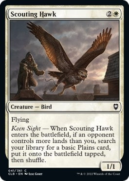 Scouting Hawk (41) (CLB)