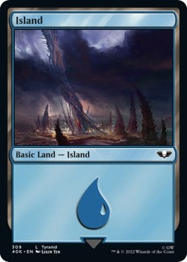 Image for Island (309) (309) (40K) - Magic: The Gathering