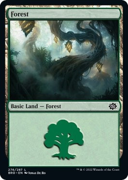 Image for Forest (276) (276) (BRO) - Magic: The Gathering