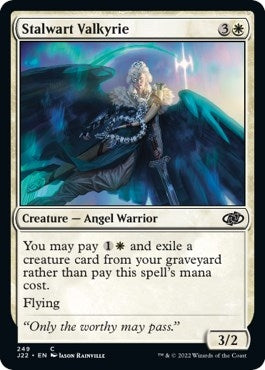 Image for Stalwart Valkyrie (249) (J22) - Magic: The Gathering