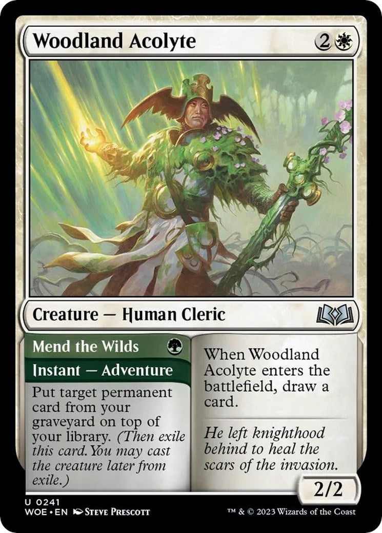 Image for Woodland Acolyte (241) (WOE) - Magic: The Gathering