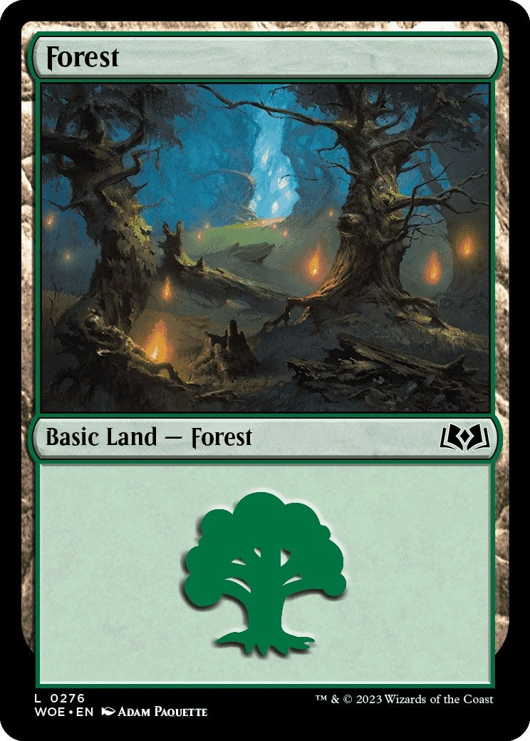 Image for Forest (0276) (276) (WOE) - Magic: The Gathering