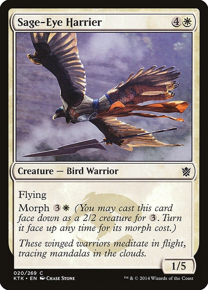 Sage-Eye Harrier (20) (KTK)