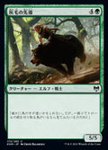Grizzled Outrider