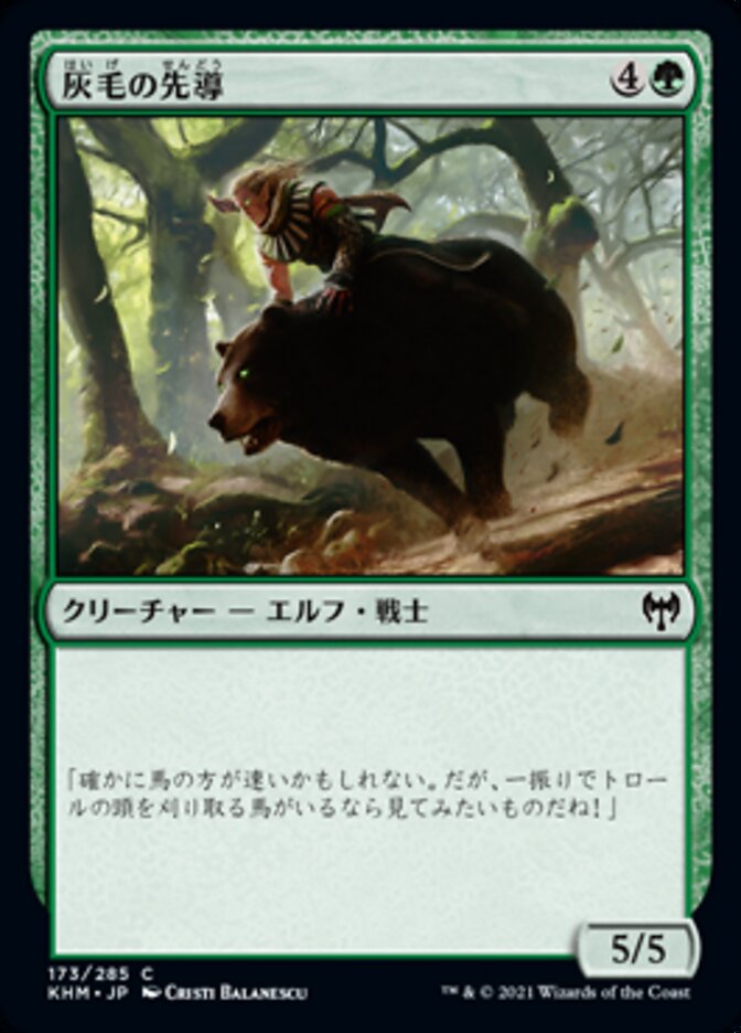 Grizzled Outrider