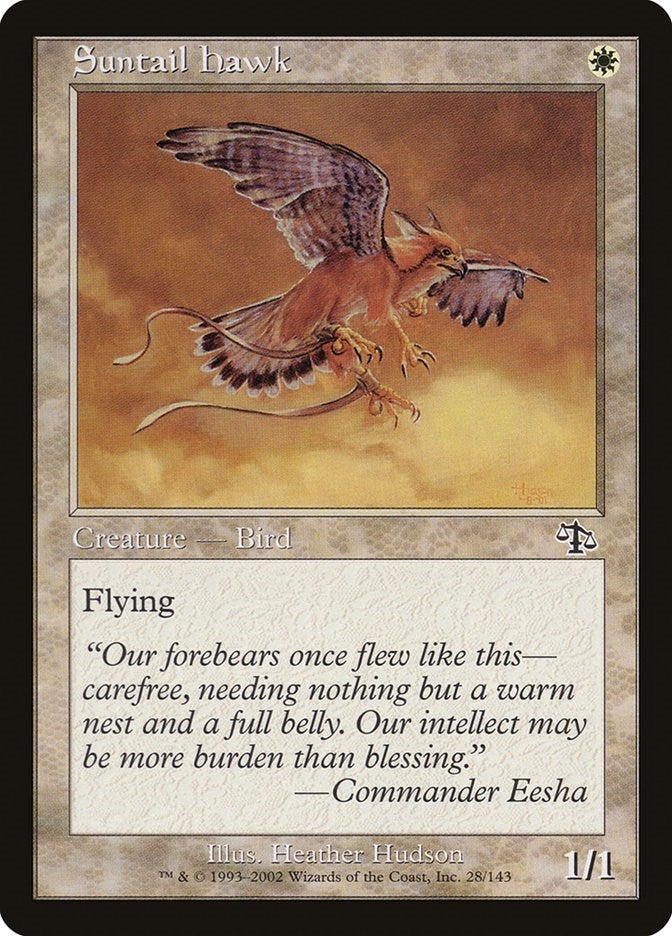 Image for Suntail Hawk (28) (JUD) - Magic: The Gathering