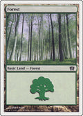 Image for Forest (350) (350) (8ED) - Magic: The Gathering