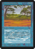 Image for Phantasmal Terrain (LEA) - Magic: The Gathering