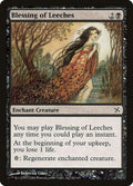 Image for Blessing of Leeches (62) (BOK) - Magic: The Gathering