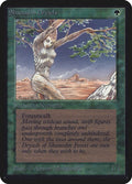Image for Shanodin Dryads (LEA) - Magic: The Gathering