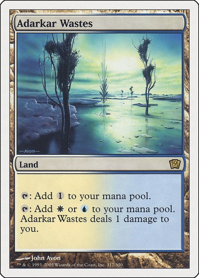 Image for Adarkar Wastes (317) (9ED) - Magic: The Gathering