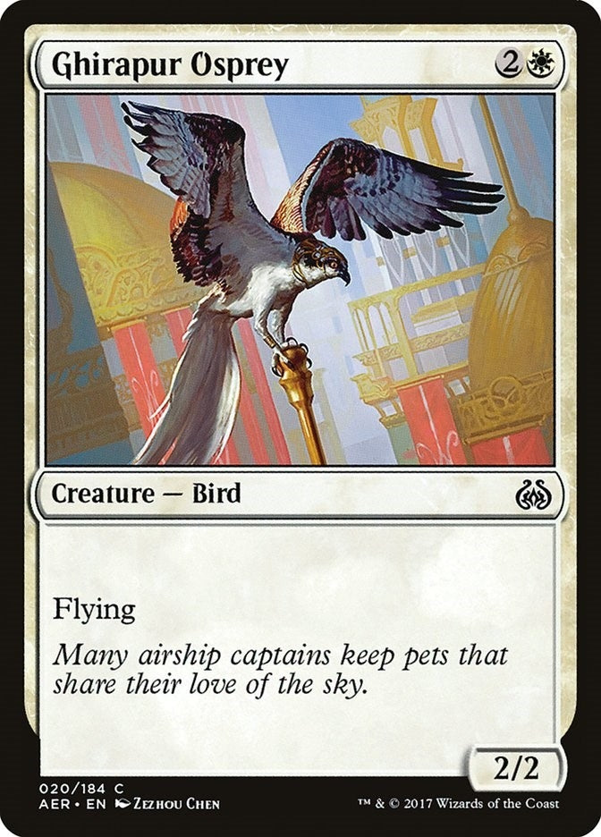 Ghirapur Osprey (20) (AER)