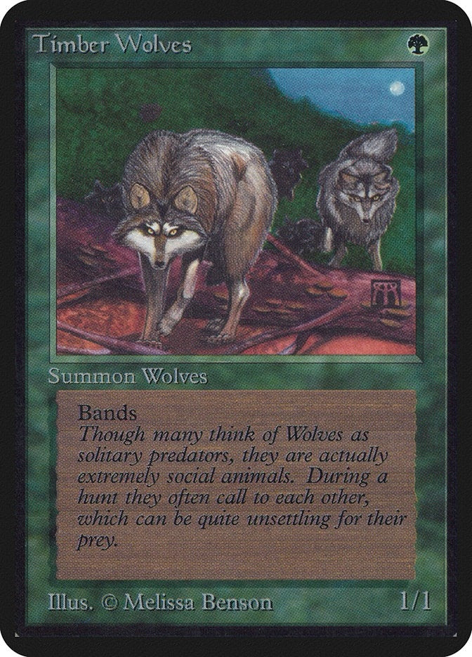 Image for Timber Wolves (LEA) - Magic: The Gathering