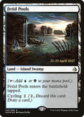 Image for Fetid Pools (243) (PRE) - Magic: The Gathering