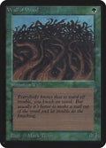 Image for Wall of Wood (LEA) - Magic: The Gathering