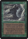 Image for Web (LEA) - Magic: The Gathering