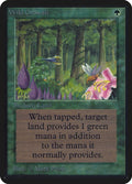 Image for Wild Growth (LEA) - Magic: The Gathering