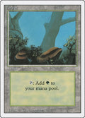 Image for Forest (A) (284) (3ED) - Magic: The Gathering