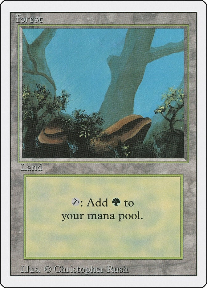 Image for Forest (A) (284) (3ED) - Magic: The Gathering