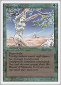 Image for Shanodin Dryads (3ED) - Magic: The Gathering