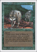 Image for Timber Wolves (3ED) - Magic: The Gathering