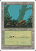 Image for Forest (A) (177) (4ED) - Magic: The Gathering