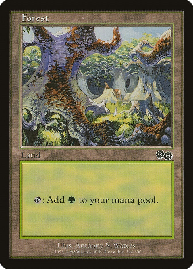Image for Forest (348) (348) (USG) - Magic: The Gathering