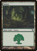Image for Forest (299) (299) (SHM) - Magic: The Gathering