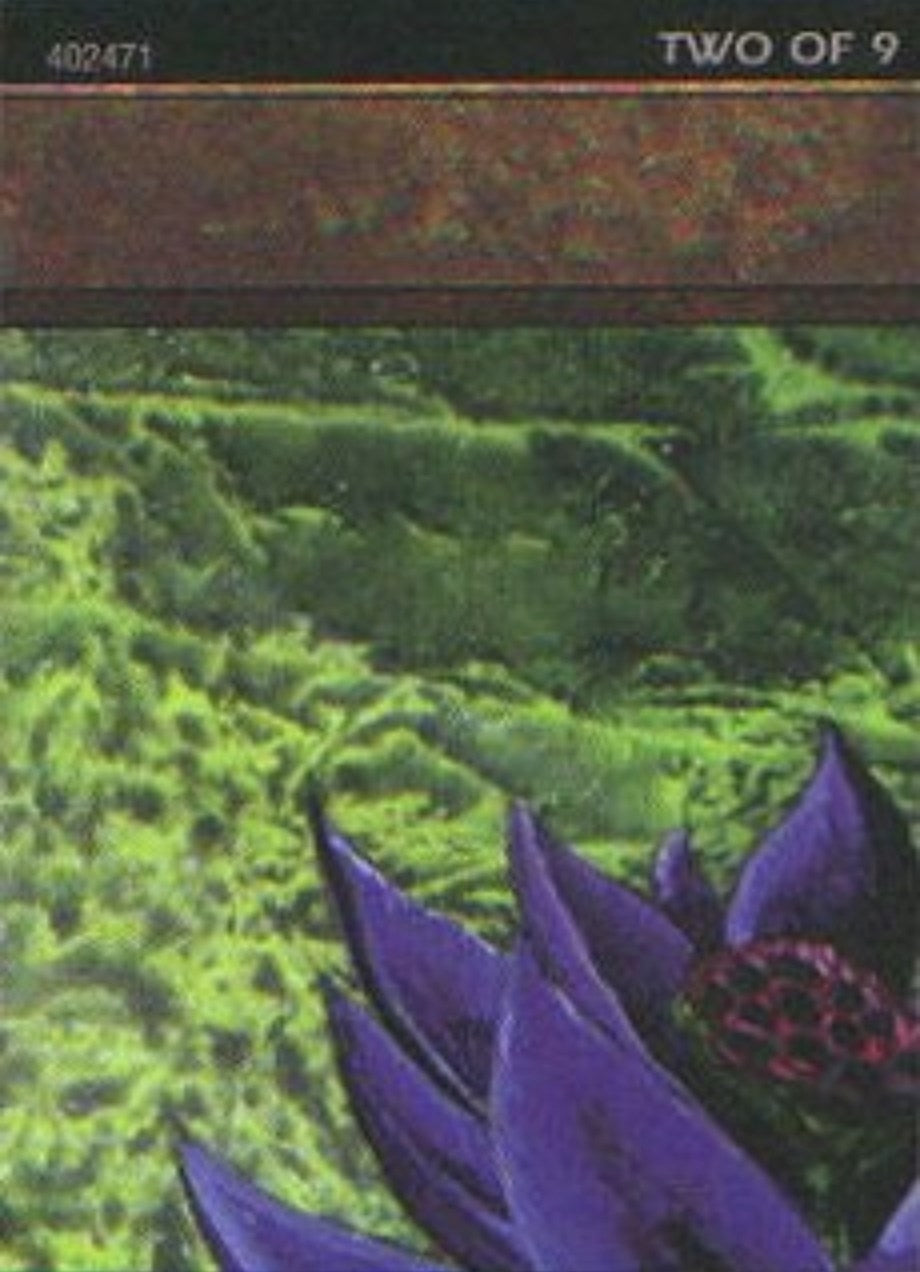 Image for Black Lotus (2 of 9) (Ultra Pro Puzzle Quest) (1) (MEDIA) - Magic: The Gathering