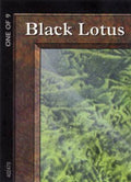 Image for Black Lotus (1 of 9) (Ultra Pro Puzzle Quest) (1) (MEDIA) - Magic: The Gathering