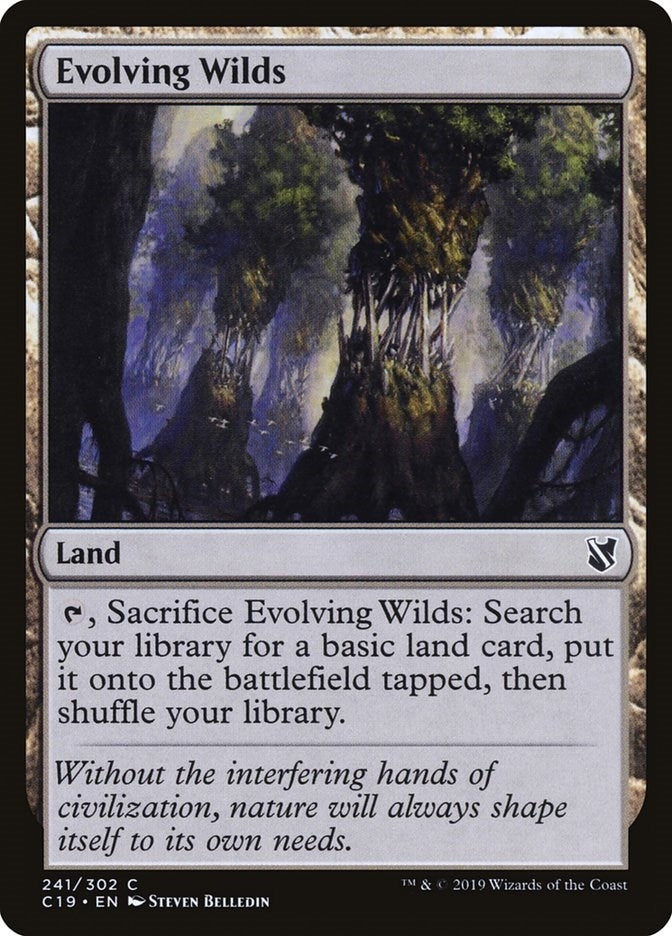 Evolving Wilds (241) (C19)