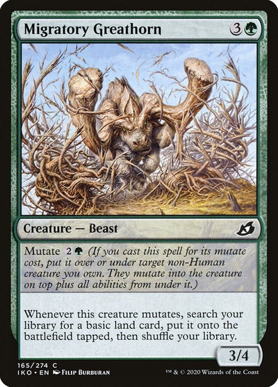 Migratory Greathorn (165) (IKO)