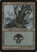 Image for Swamp (163) (163) (P02) - Magic: The Gathering