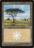 Image for Plains (No Flowers) (POR) - Magic: The Gathering