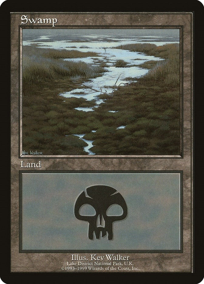 Image for Swamp - Lake District National Park (10) (EURO) - Magic: The Gathering