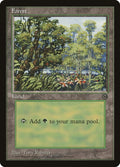 Image for Forest (1996) (ARENA) - Magic: The Gathering