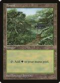 Image for Forest - Clear Pack (Beard, Jr.) (APAC) - Magic: The Gathering