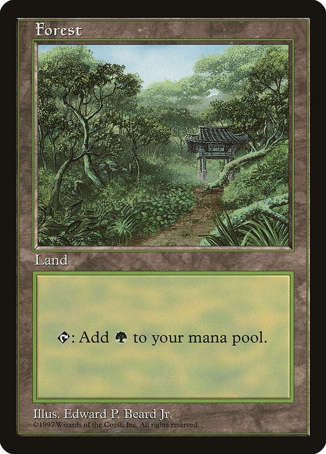 Image for Forest - Clear Pack (Beard, Jr.) (APAC) - Magic: The Gathering