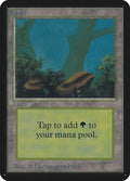 Image for Forest (A) (LEA) - Magic: The Gathering