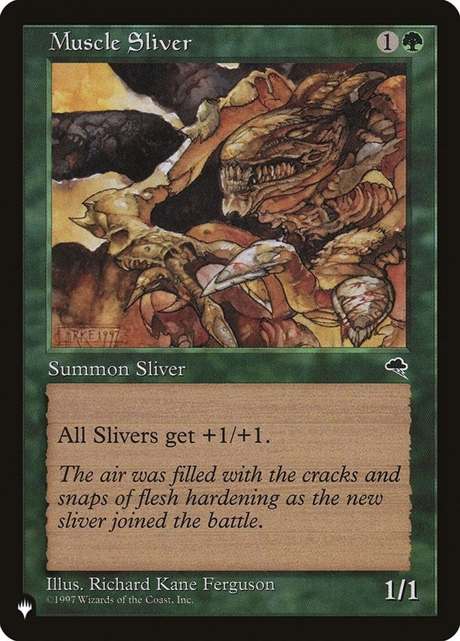 Muscle Sliver (LIST)