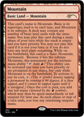 Image for Mountain (257) (Full-Text Lands) (257) (SLD) - Magic: The Gathering