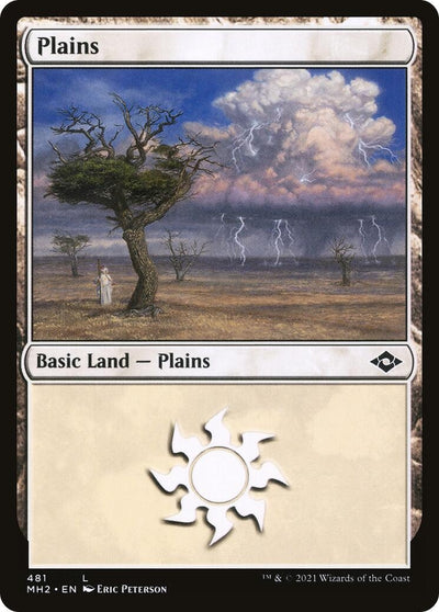 Plains (481) (481) (MH2)