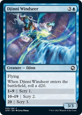 Djinni Windseer (55) (AFR)