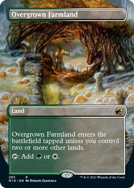 Image for Overgrown Farmland (Borderless) (283) (MID) - Magic: The Gathering